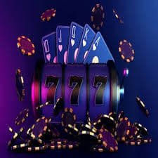 81bet19 81bet19